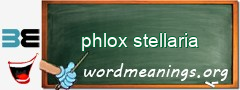 WordMeaning blackboard for phlox stellaria